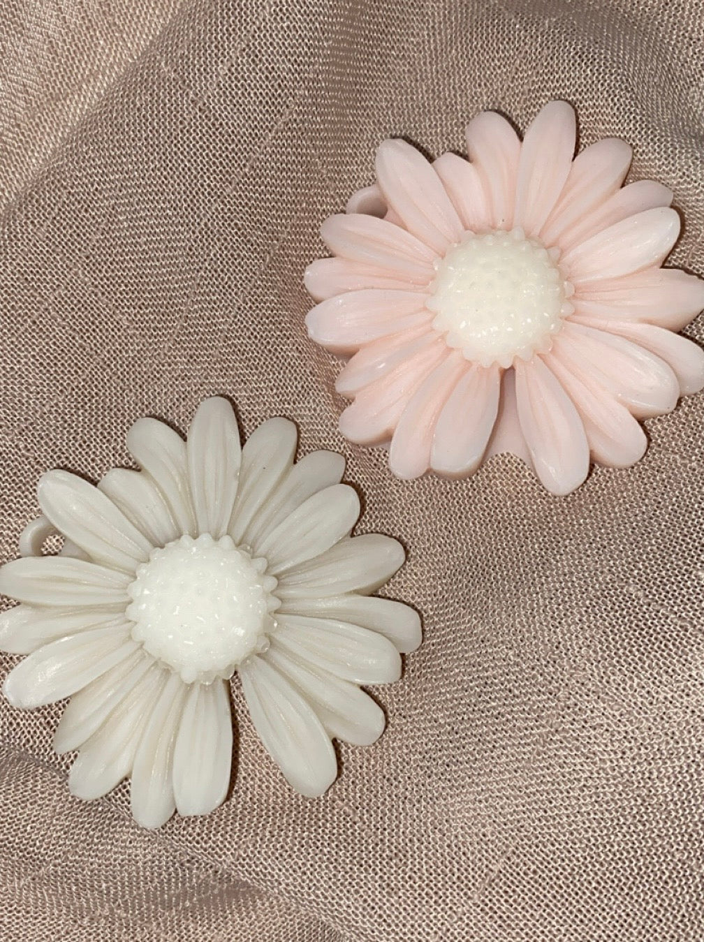 Marguerites